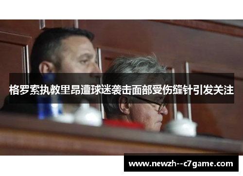 格罗索执教里昂遭球迷袭击面部受伤缝针引发关注 格罗索执教里昂遭球迷袭击面部受伤缝针引发关注